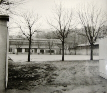 1950 ancienne cour